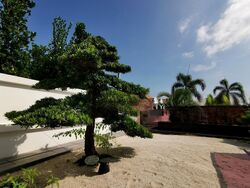 Frankel Estate (D15), Detached #423353541